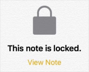 Locked Note in iPadOS or iOS 13, which needs to be unlocked with a password