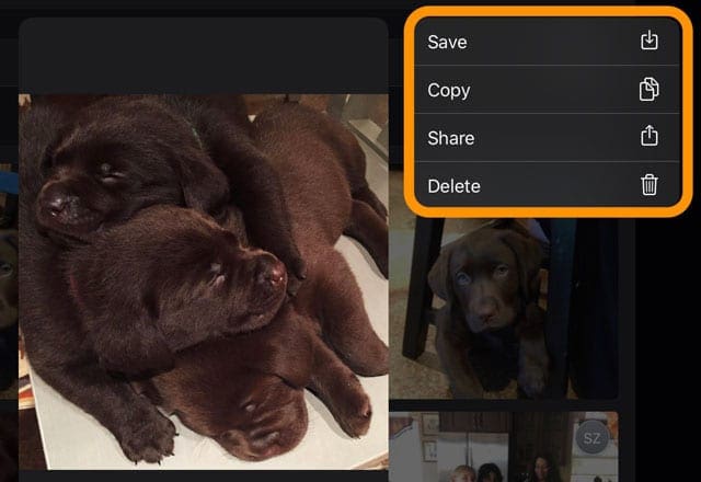 quick action menu options for photos in Message app