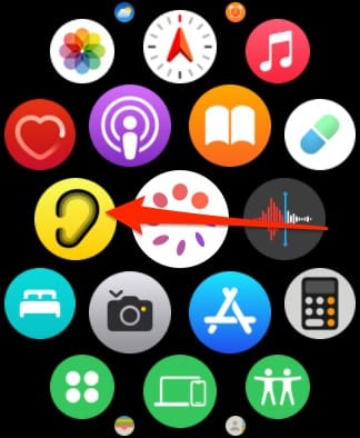 The Noise App in the Apple Watch App Library