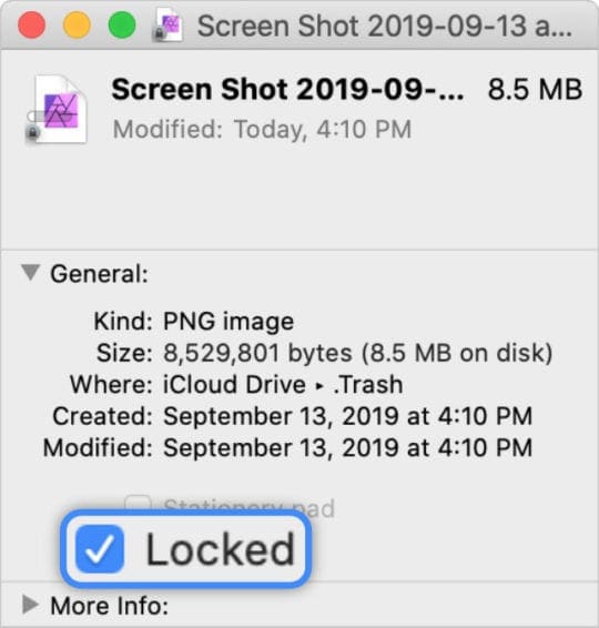 Locked file checkbox in Get Info window from Finder
