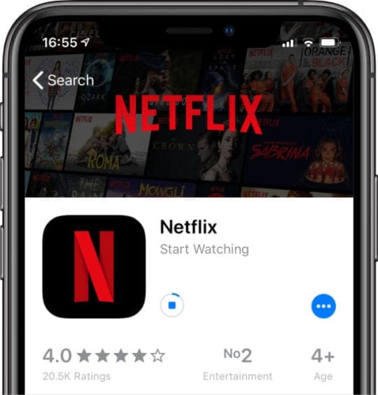 Netflix app downloading from App Store on iPhone X