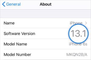 Software Version 13.1 in iPhone Settings