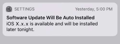 iOS or iPadOS software update will be auto installed