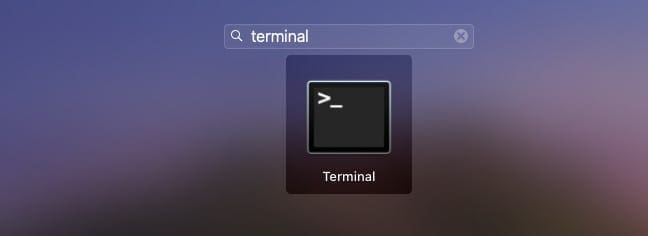 Terminal command to fix Outlook issues on Catalina