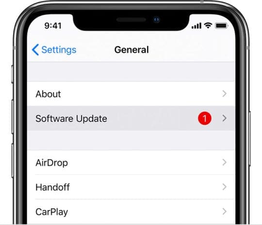 Software Update iPhone XS Max on iOS 13