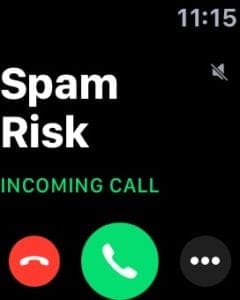 Spam Risk 2