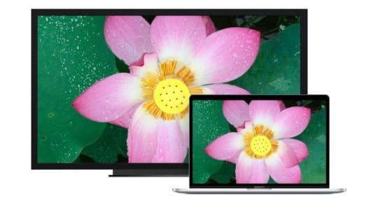 External Display shows Black screen with macOS Catalina and other