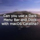 Can you use a Dark Menu Bar and Dock with macOS Catalina?