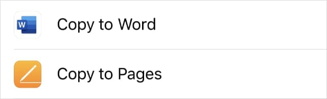 Copy to Word or Pages buttons from Share Sheet