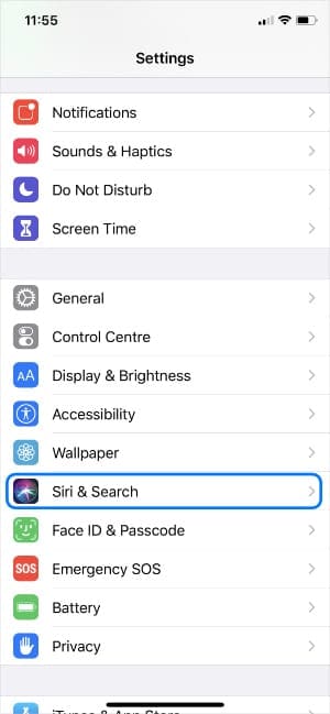 Siri & Seach iPhone settings