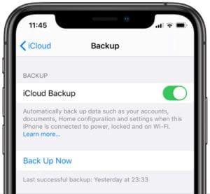 iPhone XS iCloud Backup settings showing Back Up Now button