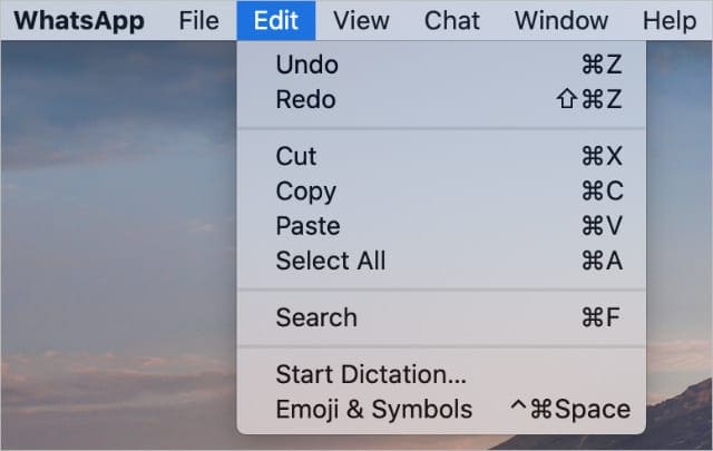 Edit dropdown from menu bar with no Substitutions option