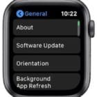 General Settings page from watchOS