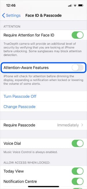 Attention-Aware features option in iPhone Settings