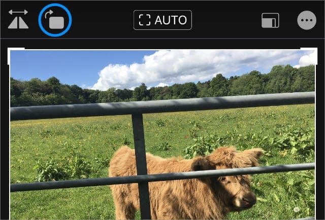 Rotate button in Photos app on iPhone