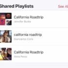 How to find public playlists in Apple Music created by others
