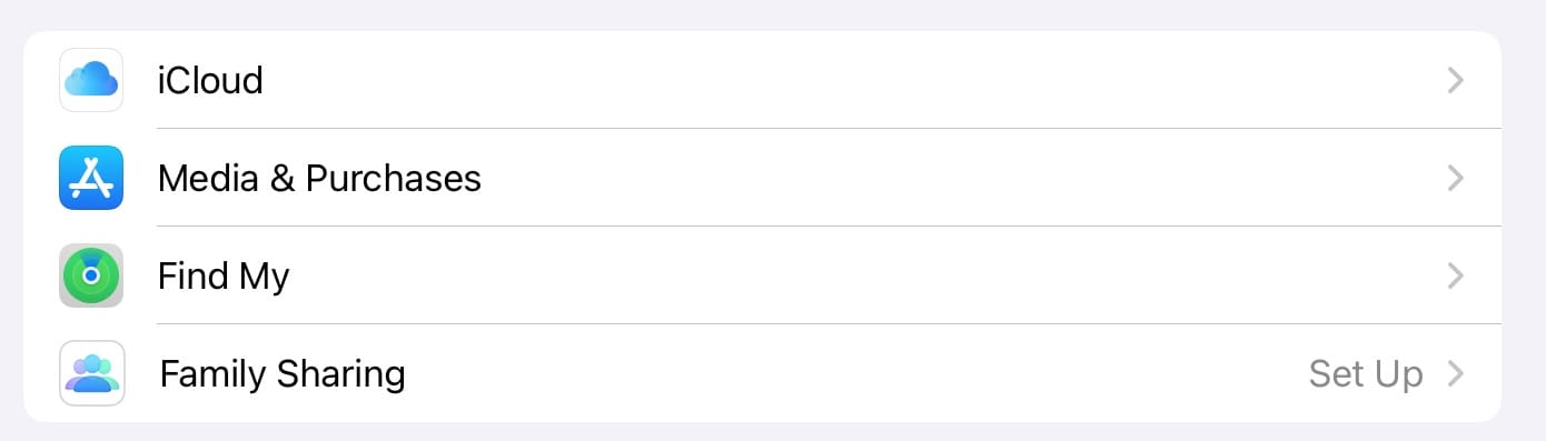 Choose the iCloud Tab in iPadOS Settings