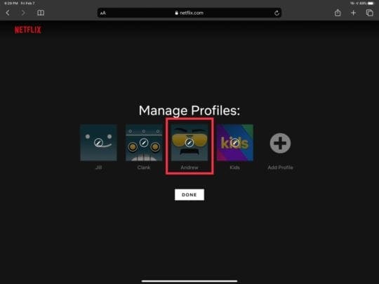 Select Your Netflix Profile