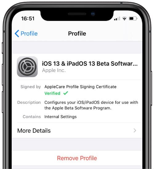 iPhone profile settings with option to remove them