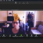 get rid and disable snap camera lenses and filters on zoom and conference call apps