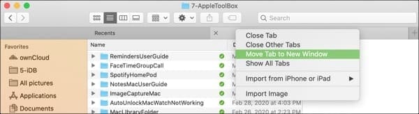 Move Tab To New Window-Mac