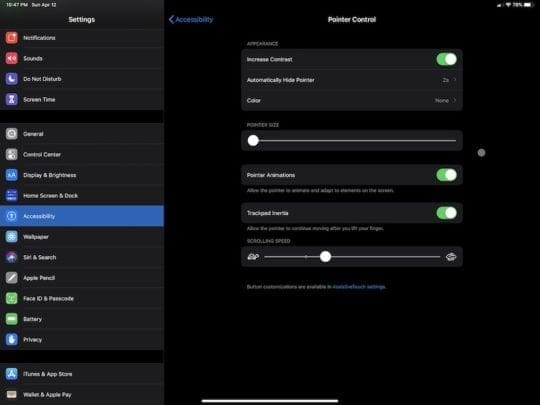 Pointer Control Settings Options
