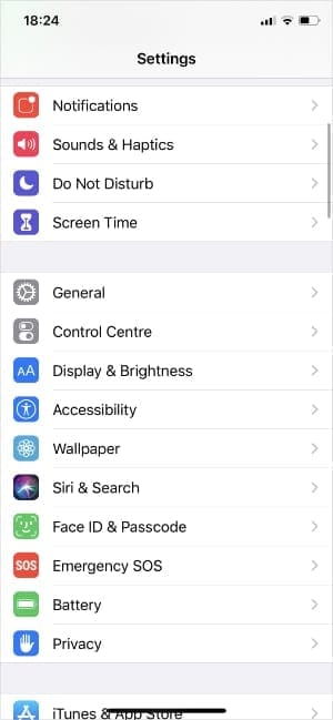 iPhone Settings showing General settings
