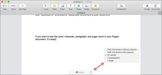 Pages Word Count-Mac