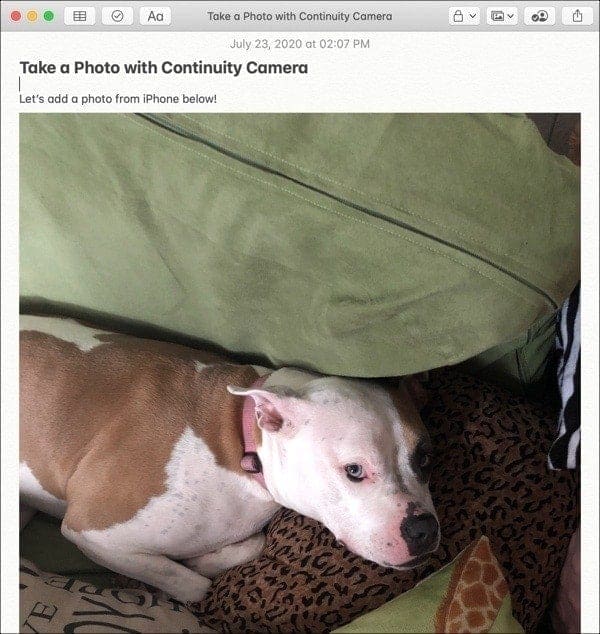 Captured Photo Continuity Camera-Mac iPhone