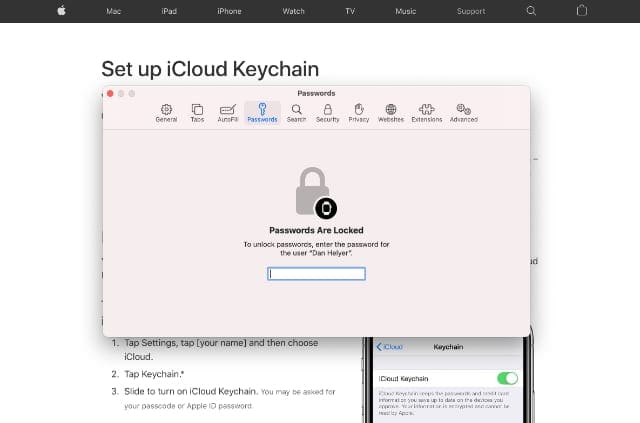 iCloud Keychain website on Safari with passwords window