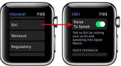 Raise to Speak Siri Apple Watch
