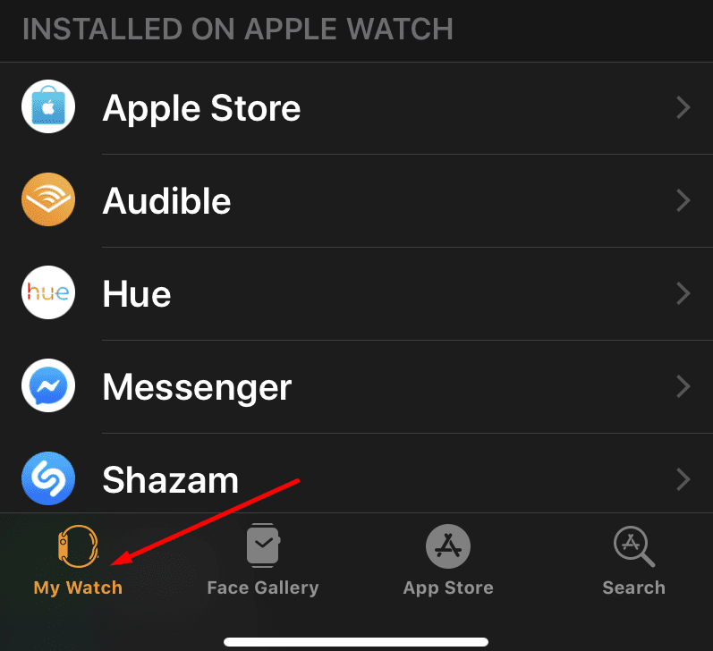 watch app iphone my watch option