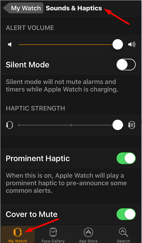 Show Alerts, Sound and Haptic apple watch