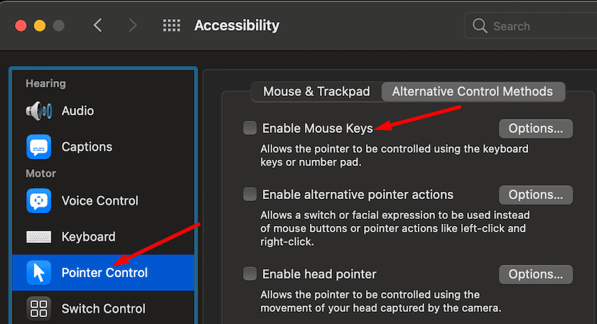 mac disable mouse keys pointer control