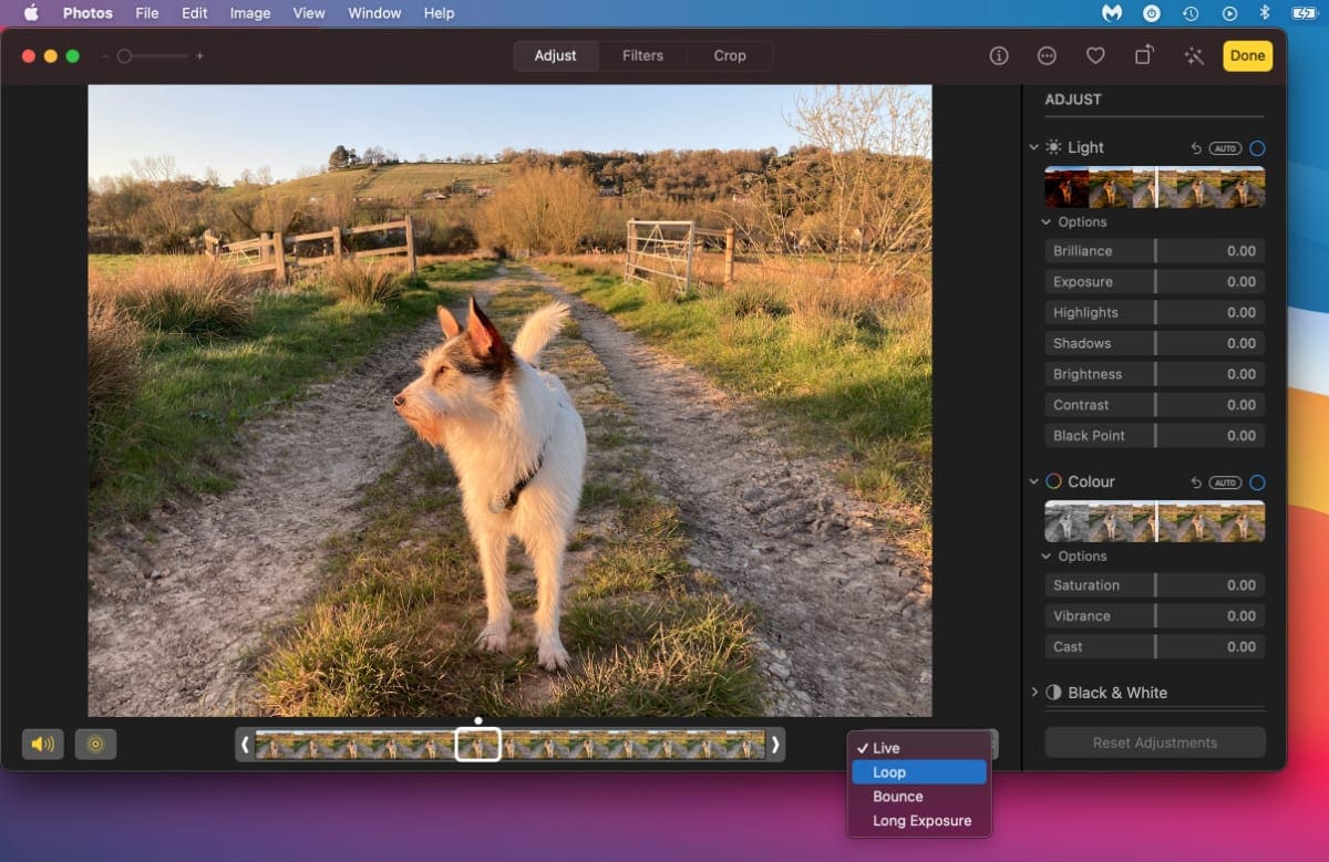 Live Photos effects dropdown menu on Mac
