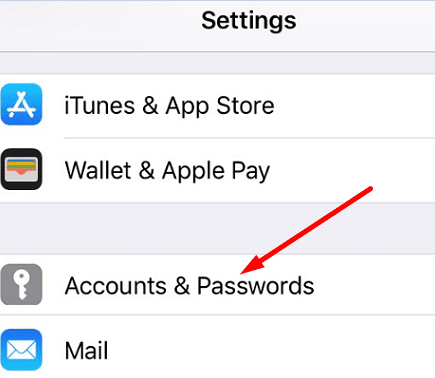 Accounts-Passwords-iPhone