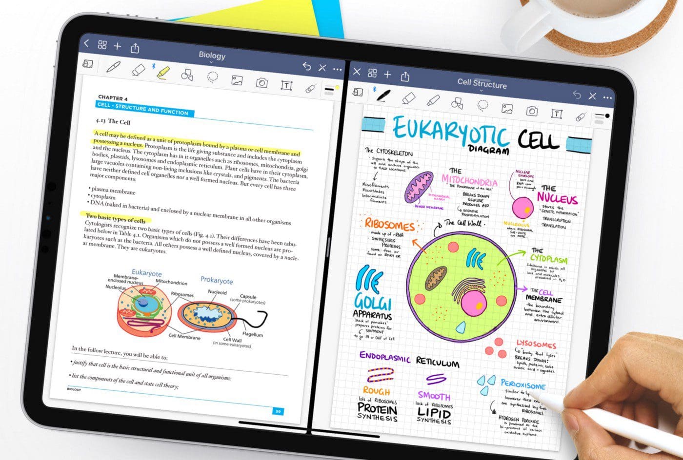 nebo vs notability