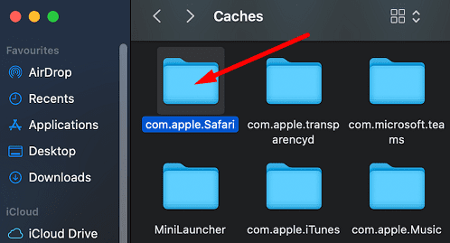 com.apple_.Safary-Caches