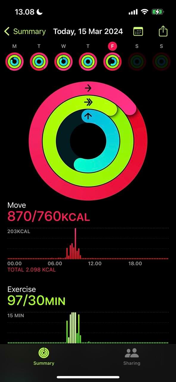 An image showing rings on the iPhone Fitness app, as measured from your Apple Watch