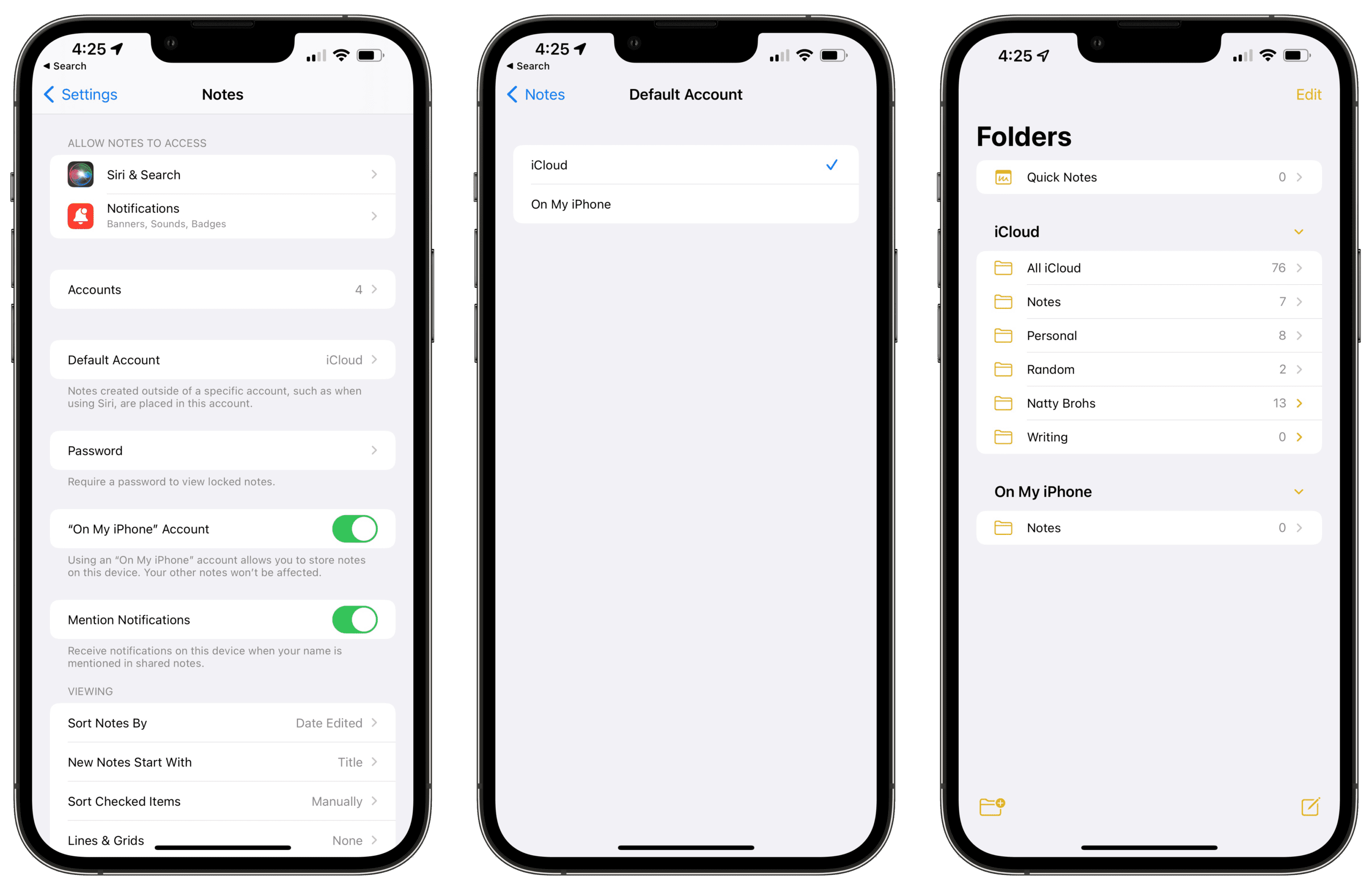 How To Store Apple Notes Locally - iPhone