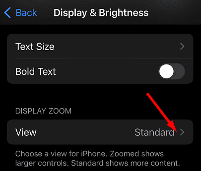 iOS-Display-options