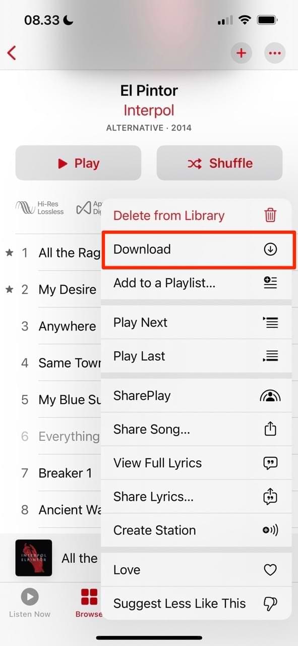 Screenshot showing the dropdown download menu on Apple Music