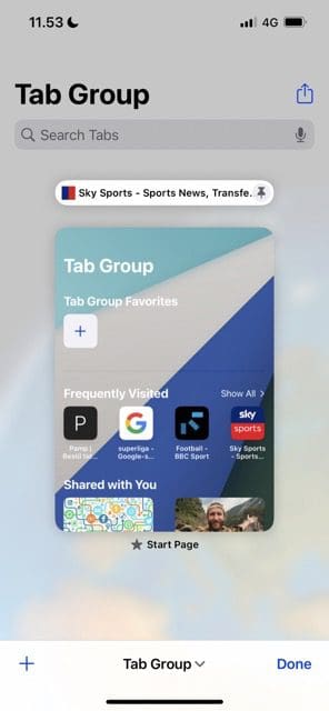 Screenshot showing a pinned tab within a Tab Group in Safari