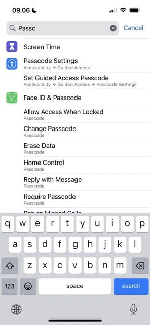 Screenshot showing how to search for the passcode option on iOS