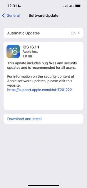 Screenshot showing how to check for a software update in iOS