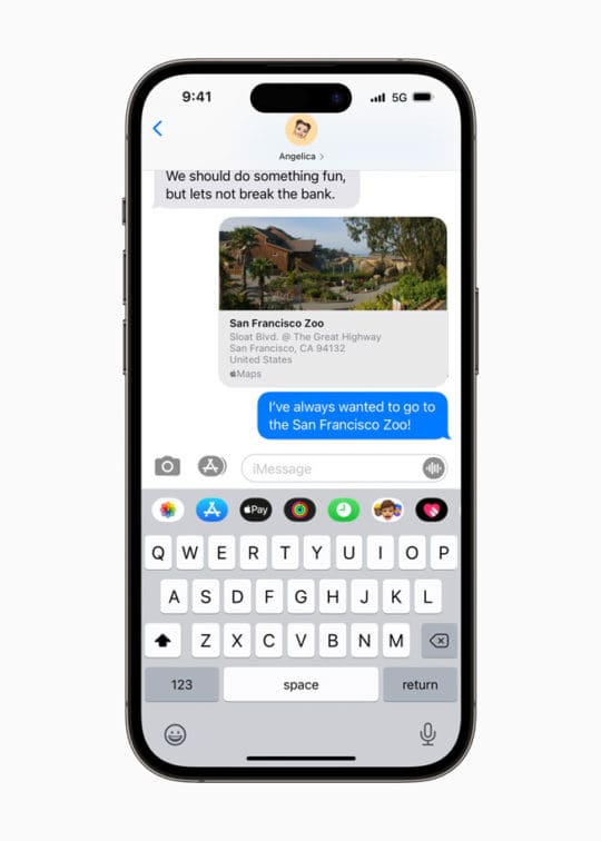 Apple Business Connect Messages Compatibility