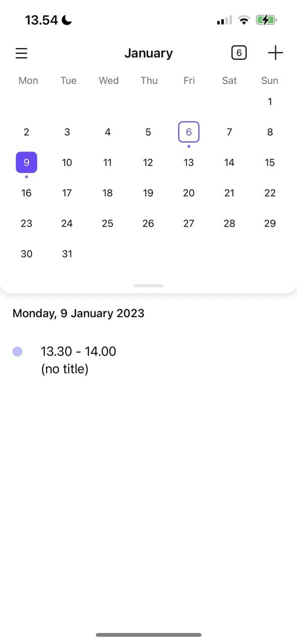 Screenshot showing a calendar overview in Proton Calendar