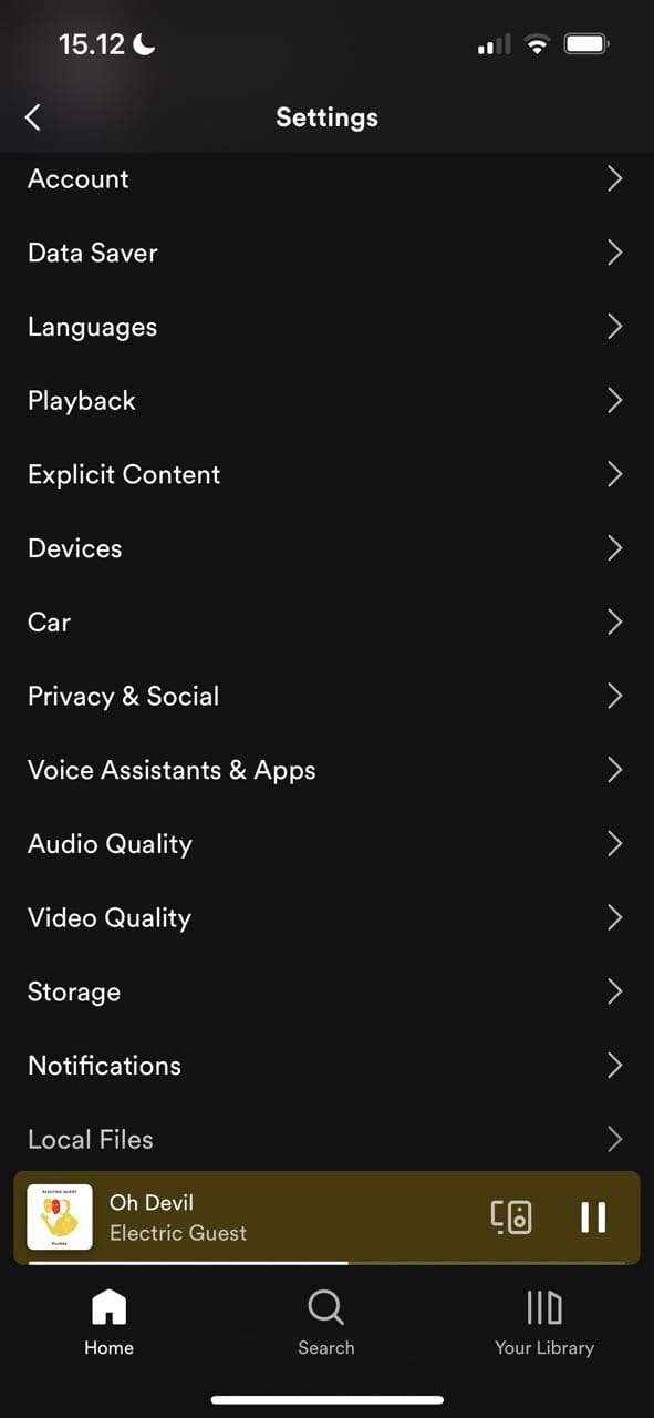 Screenshot showing a private session in Spotify