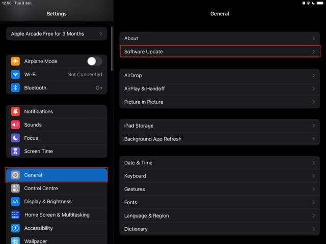 Screenshot showing Software Update settings on iPad