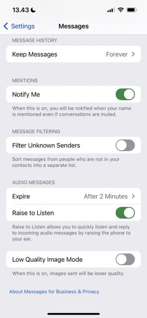 Choose Audio Messages iPhone Screenshot